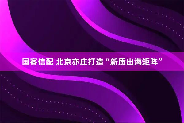 国客信配 北京亦庄打造“新质出海矩阵”