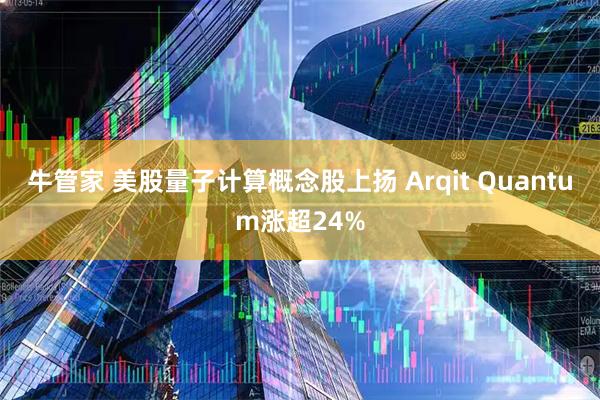 牛管家 美股量子计算概念股上扬 Arqit Quantum涨超24%