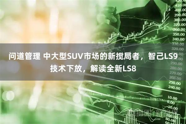 问道管理 中大型SUV市场的新搅局者，智己LS9技术下放，解读全新LS8
